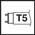 T5 V